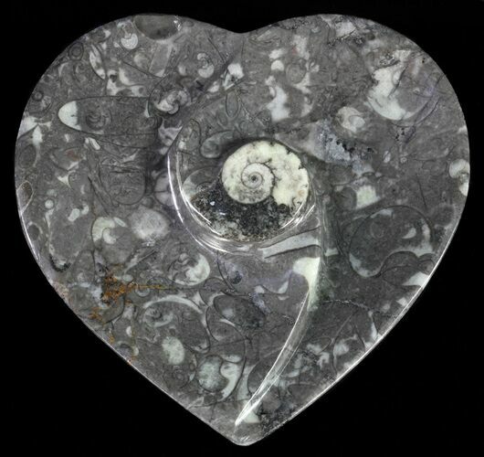 Heart Shaped Fossil Goniatite Dish #61302